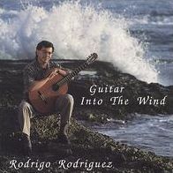 Guitar Into The Wind