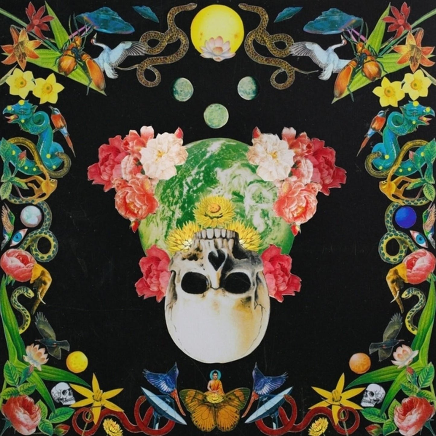 Helichrysum (Hippie Death Cult)