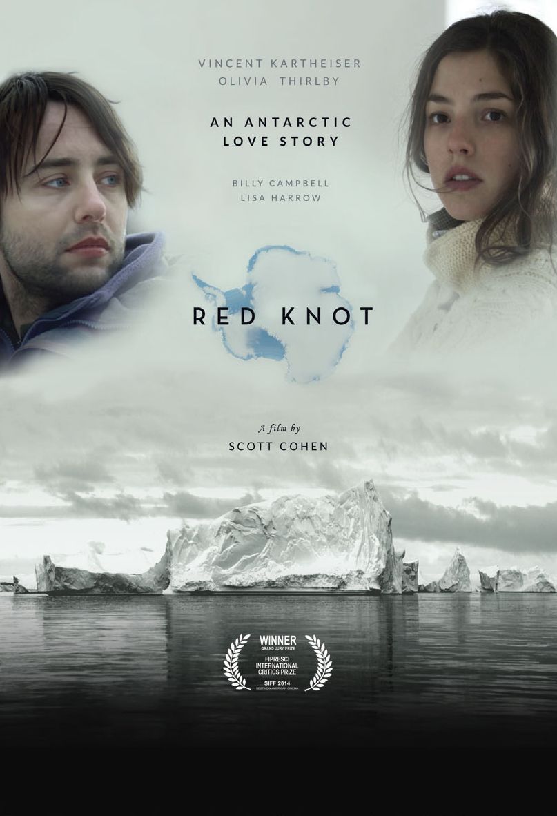 Red Knot