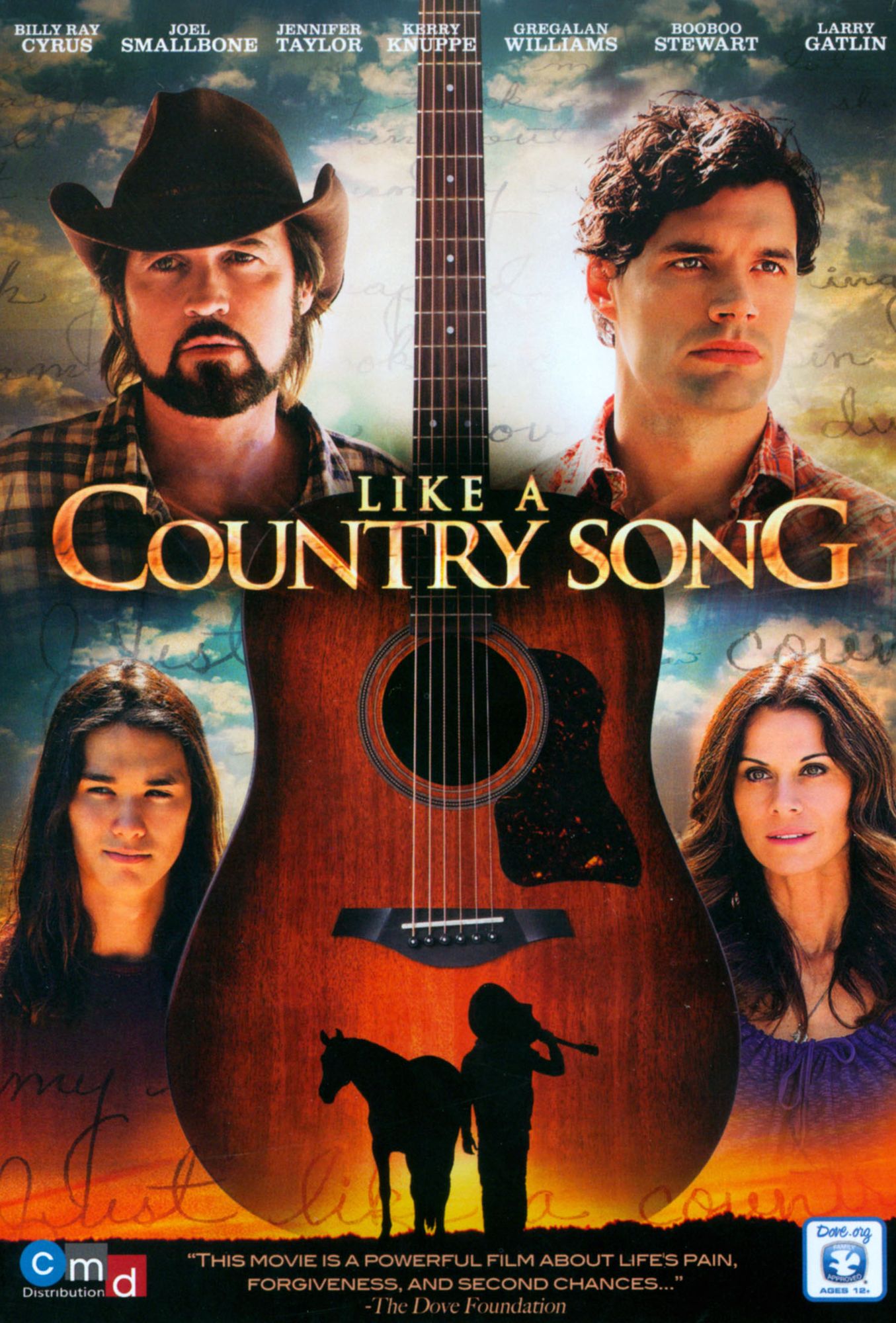 Like A Country Song