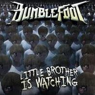 Little Brother Is Watching