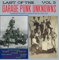 Last Of The Garage Punk Unknowns, Vol. 3