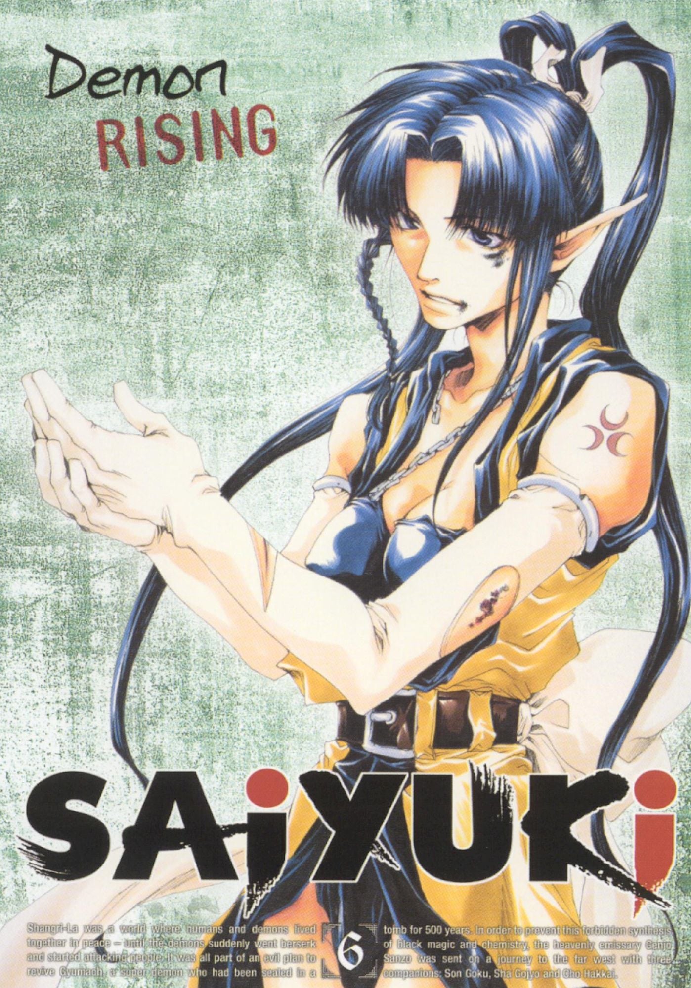 Saiyuki, Vol. 6: Demon Rising