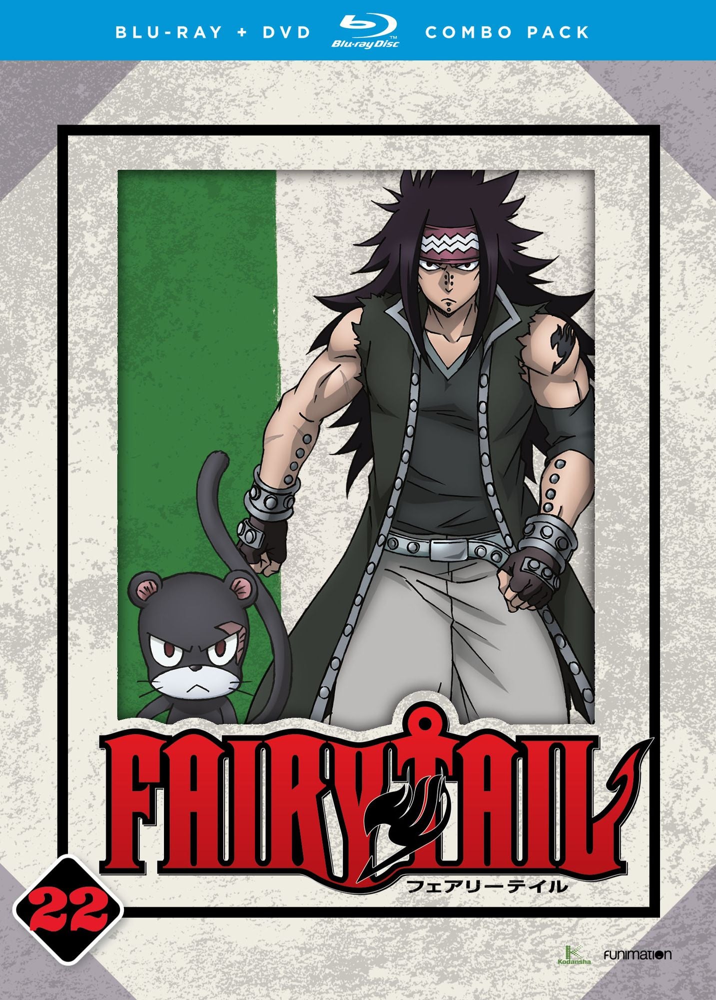 Fairy Tail: Part 22 [Blu-ray/DVD] [4 Discs]