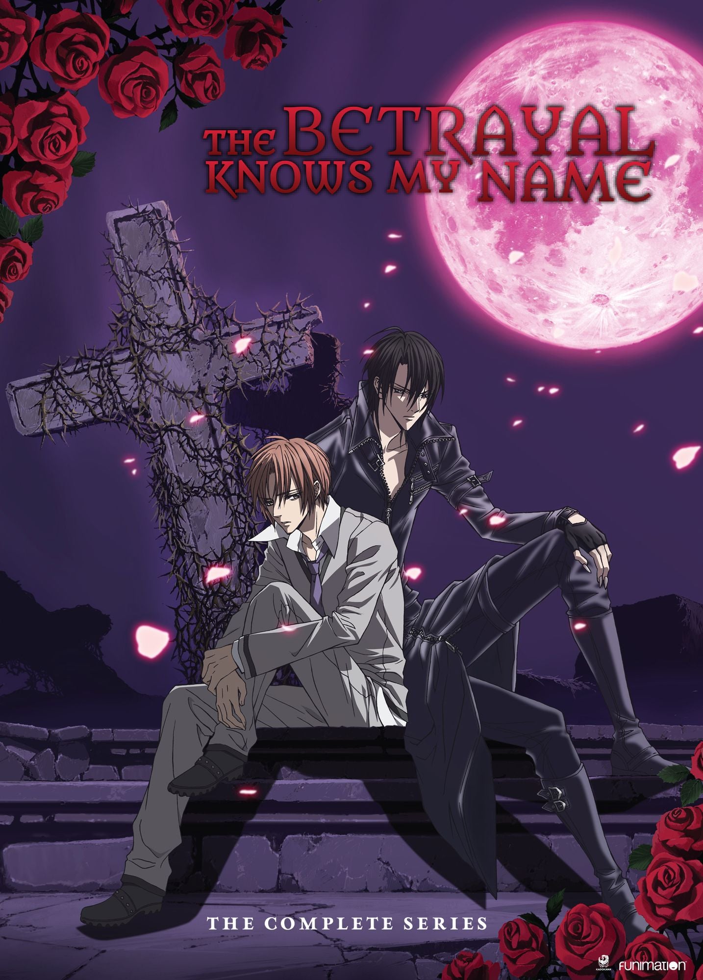 The Betrayal Knows My Name: The Complete Series [4 Discs]