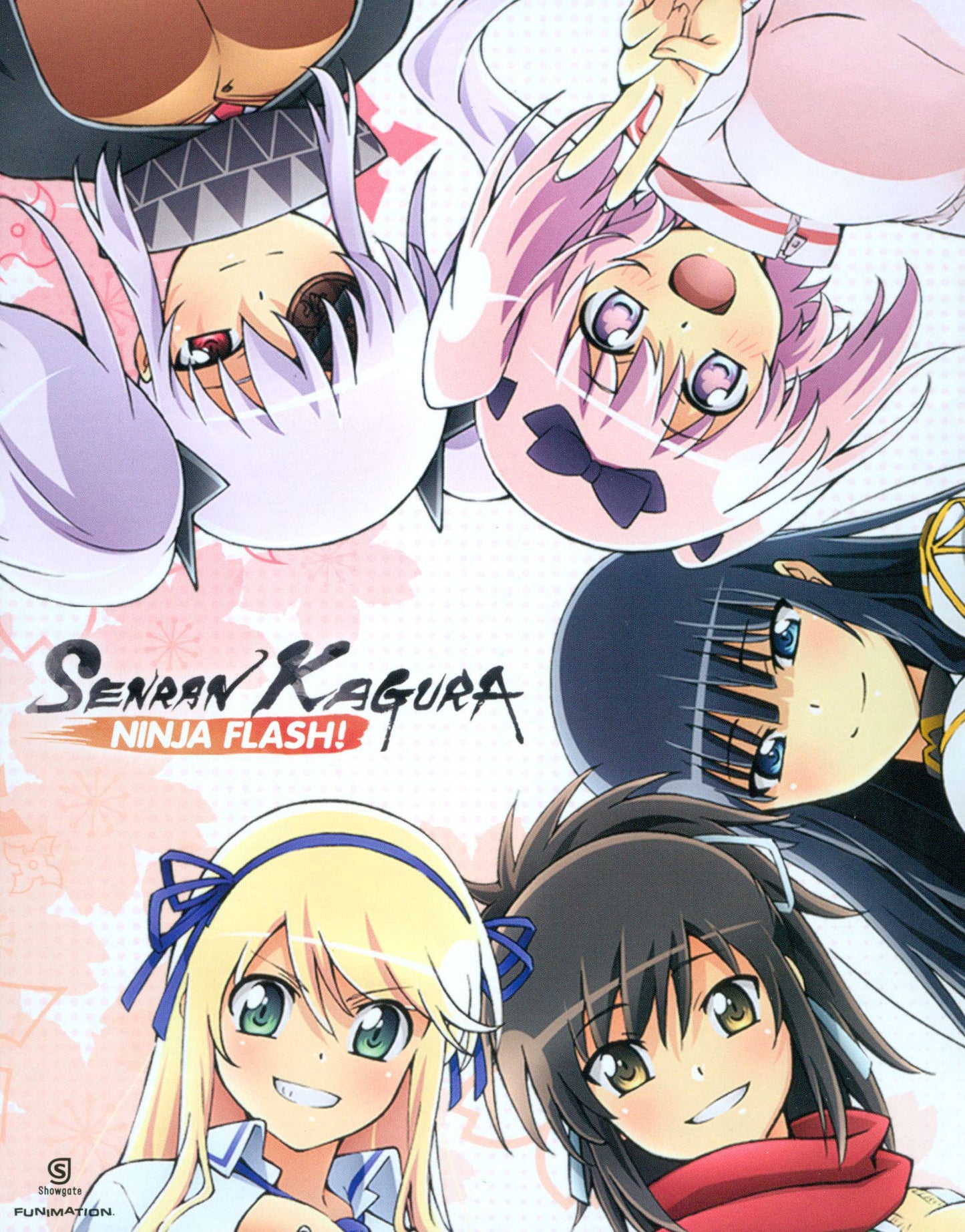 Senran Kagura: Ninja Flash