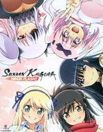 Senran Kagura: Ninja Flash