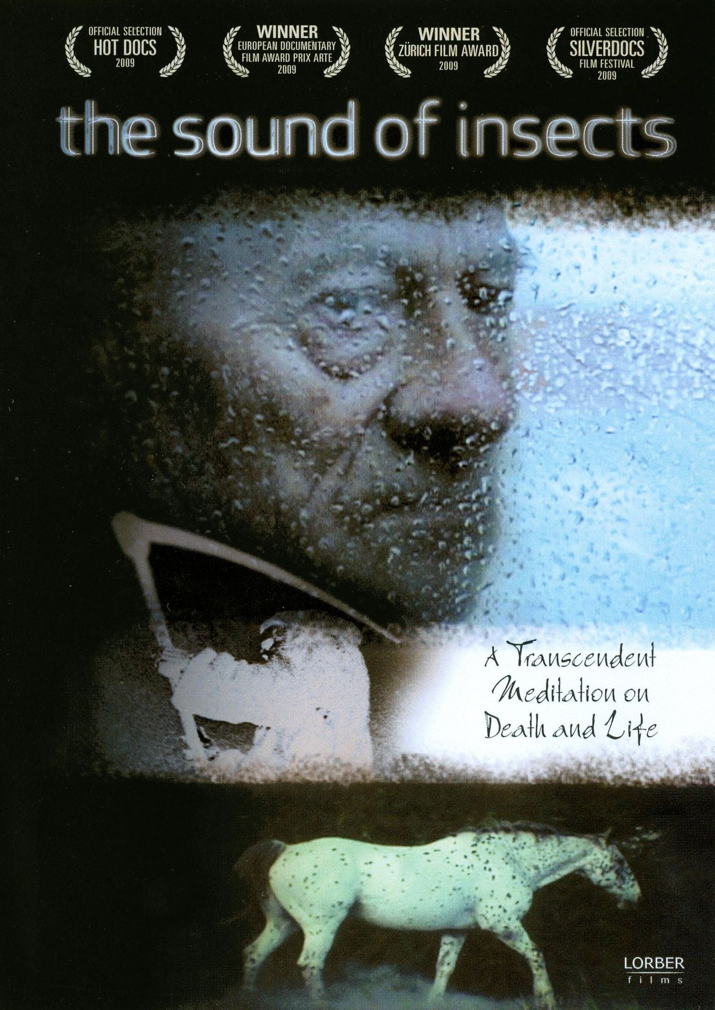 The Sound of Insects
