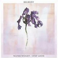 Water Weight/step Aside