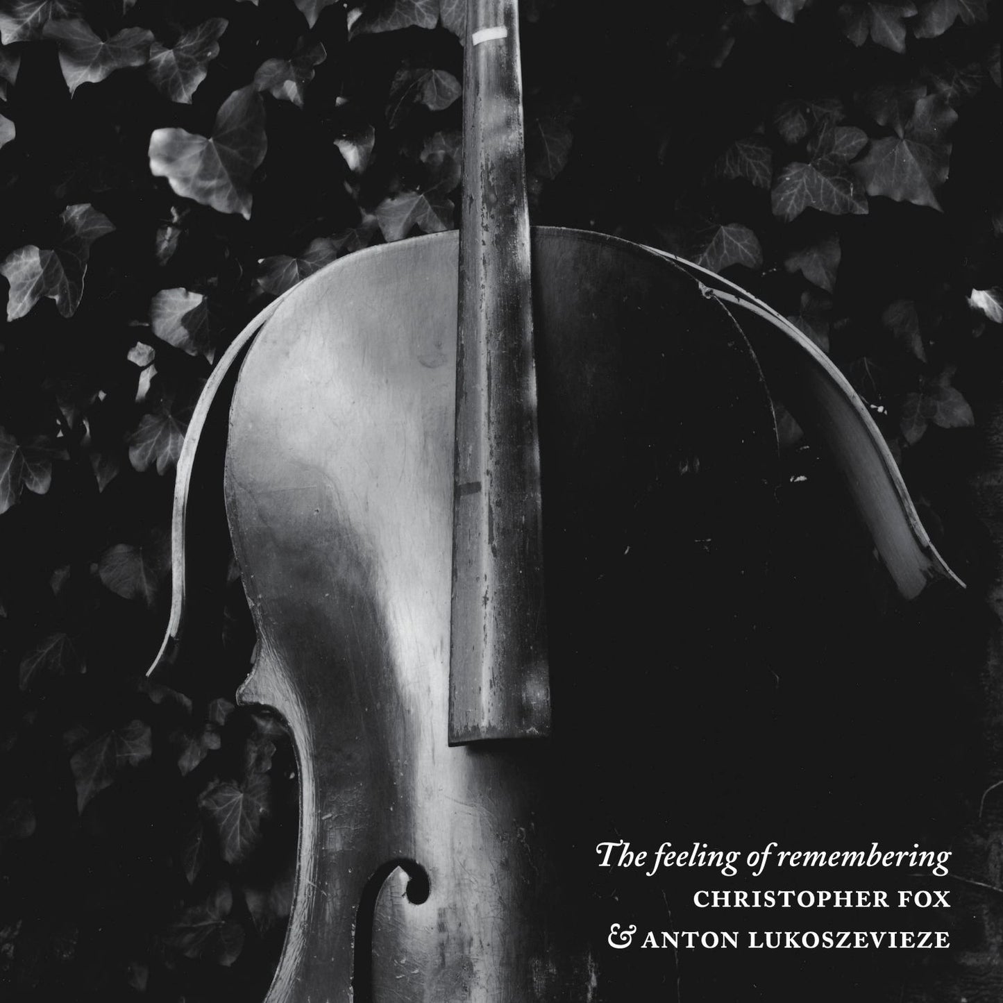 Feeling Of Remembering (Christopher Fox / Anton Lukoszevieze)