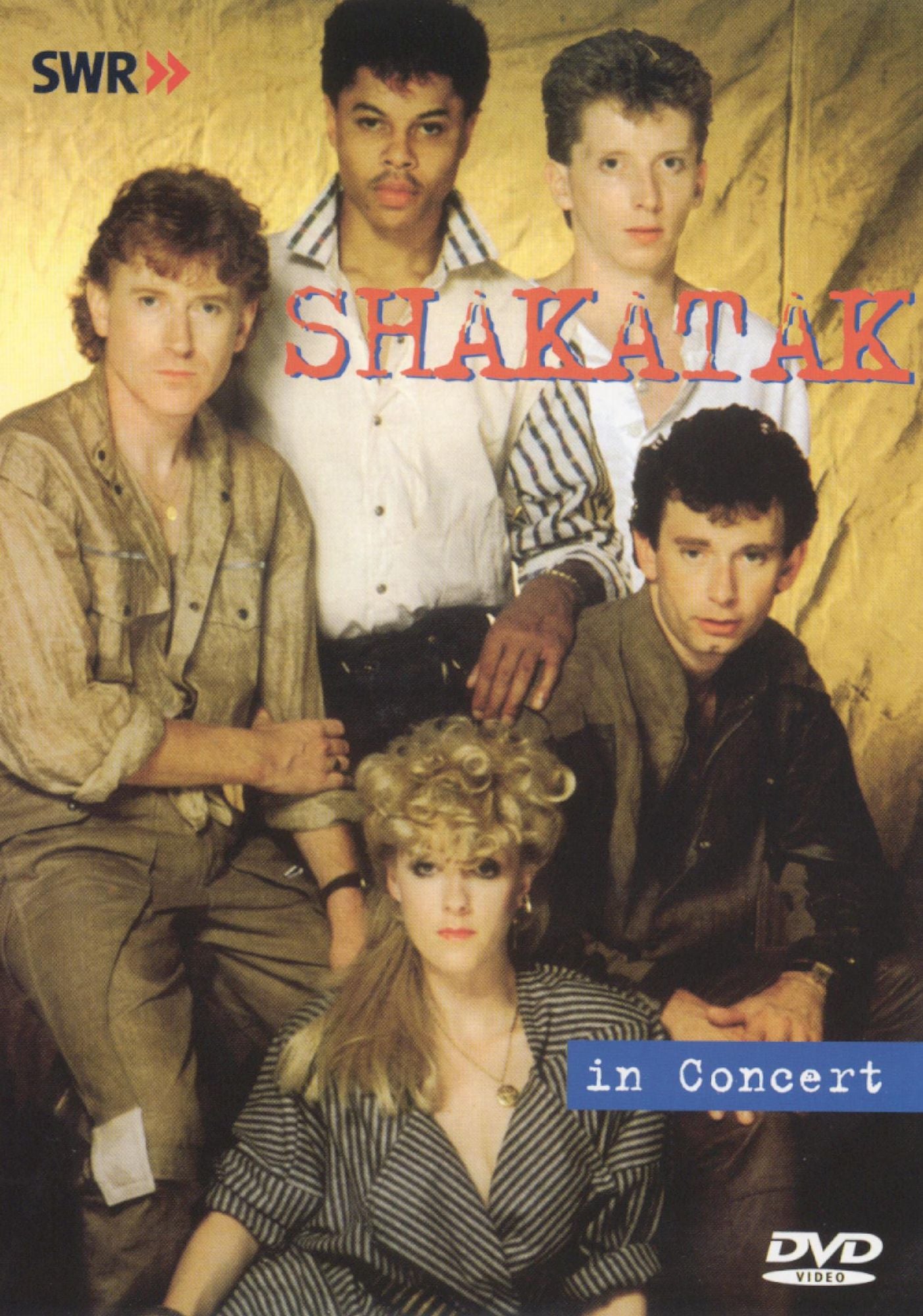 Ohne Filter - Musik Pur: Shakatak In Concert