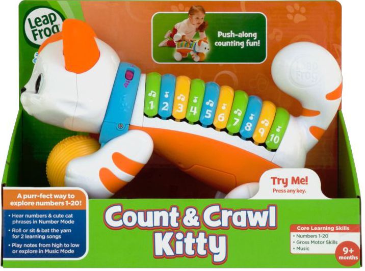 Count and Crawl Kitty
