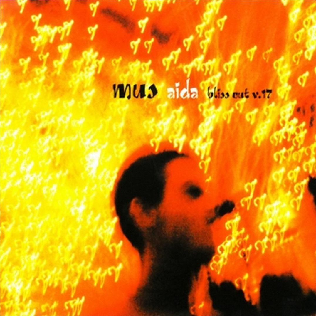Aida: Bliss Out, Vol. 17