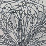 Hausi