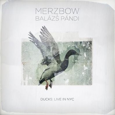 Ducks: Live in NYC