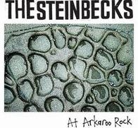At Arkaroo Rock