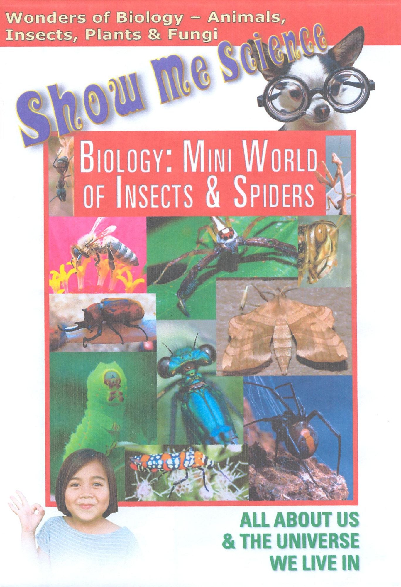 Biology: Mini World of Insects and Spiders