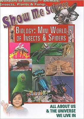 Biology: Mini World of Insects and Spiders