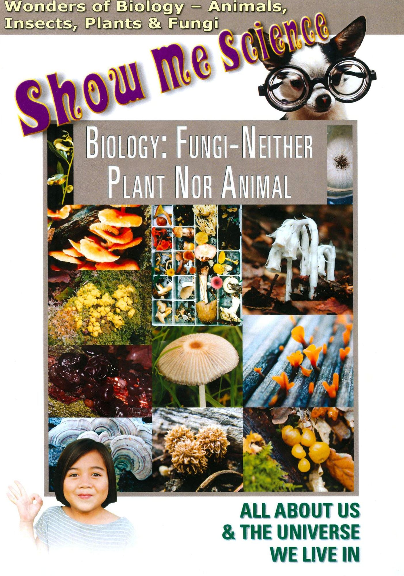 Biology: Fungi - Neither Plant Nor Animal
