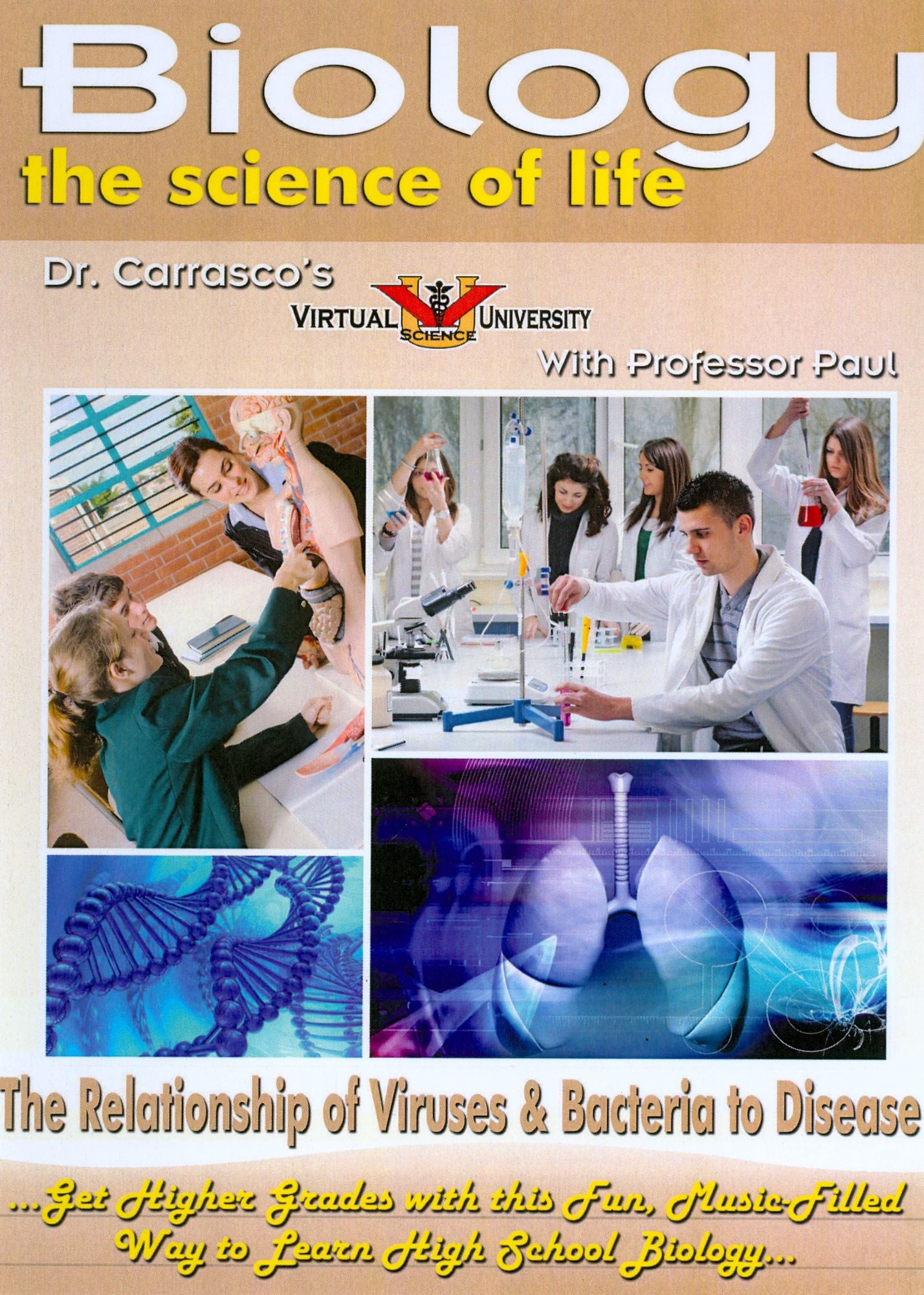 The Relationship of Viruses & Bacteria to Disease