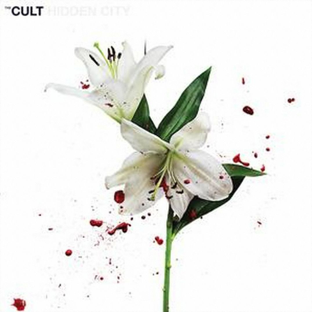 Hidden City [Lp]