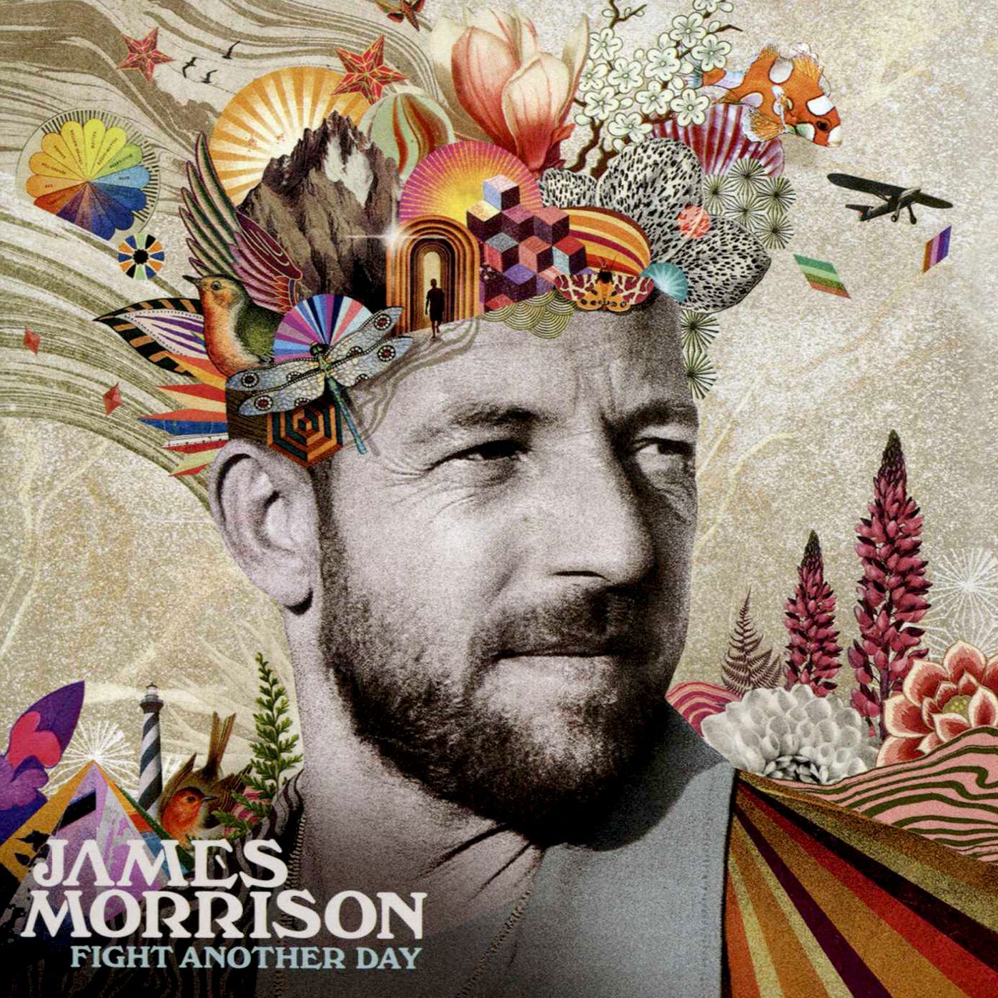 Fight Another Day (James Morrison)