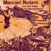 No Sub Reino dos Metazo?rios