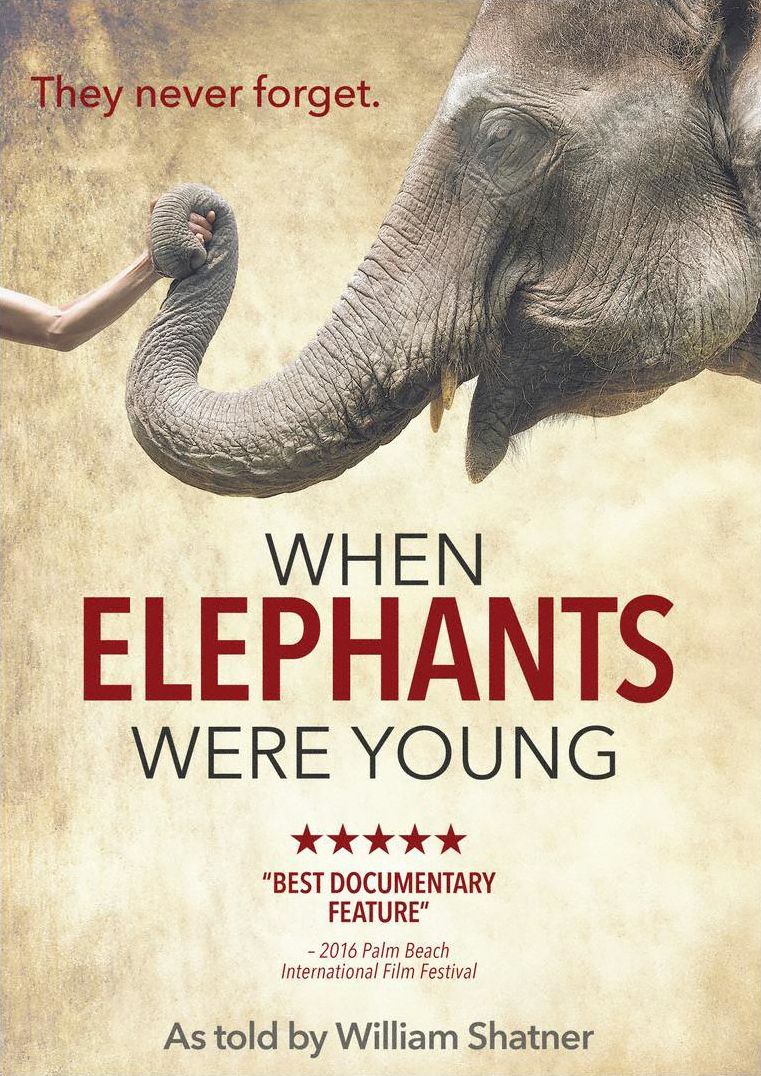 When Elephants Were Young [Blu-ray]