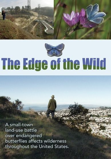 The Edge Of The Wild