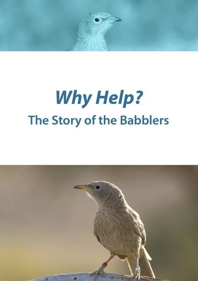 Why Help: The Story Of The Babblers
