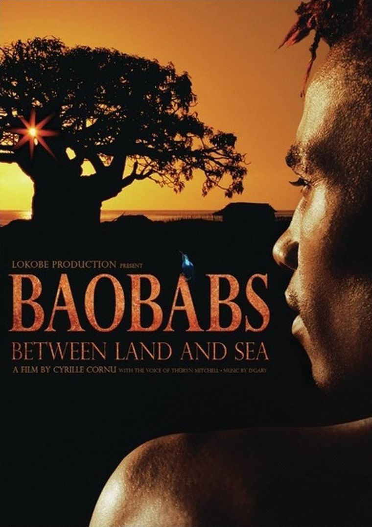 Baobabs Between Land and Sea
