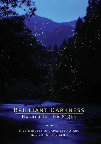 Brilliant Darkness