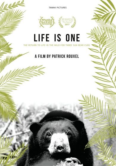 Life Is One: Return To Life In Wild For 3 Sun Bear