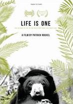 Life Is One: Return To Life In Wild For 3 Sun Bear