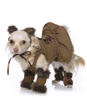 Leg Avenue LA21021-S Cuddly Lion Pup Pet Costume Size Small