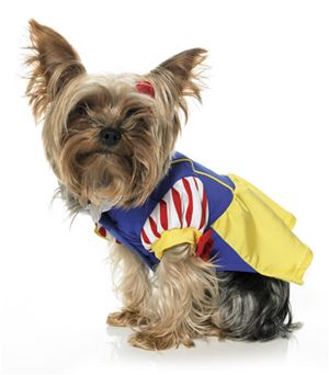Leg Avenue 34131 Snow Puppy Pet Costume Size X-Small