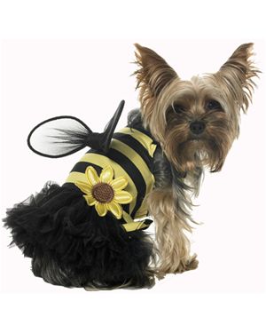 Leg Avenue LA21017-S Daisy Bee Pet Costume Size Small
