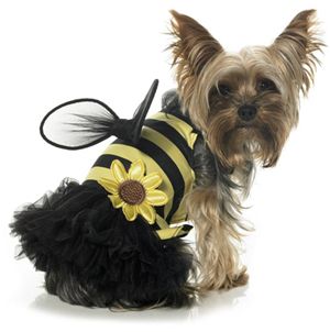 Leg Avenue 34134 Daisy Bee Pet Costume Size Medium