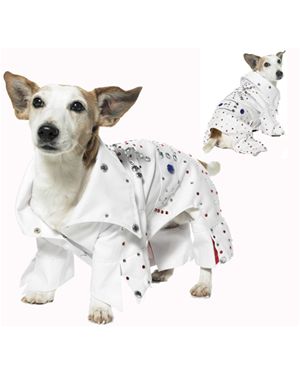 Leg Avenue LA21015-XL Rockstar Pet Costume Size X-Large