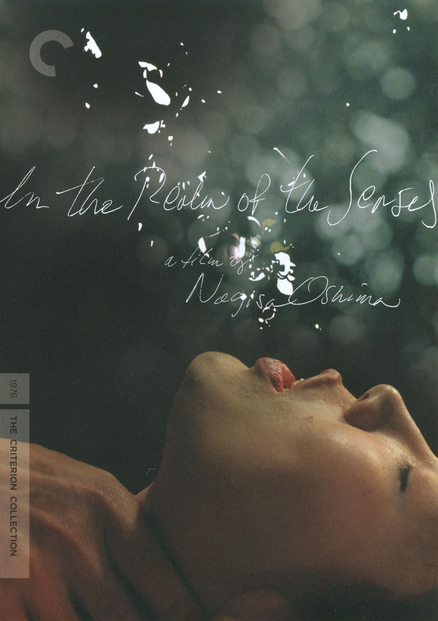 In the Realm of the Senses [Criterion Collection]