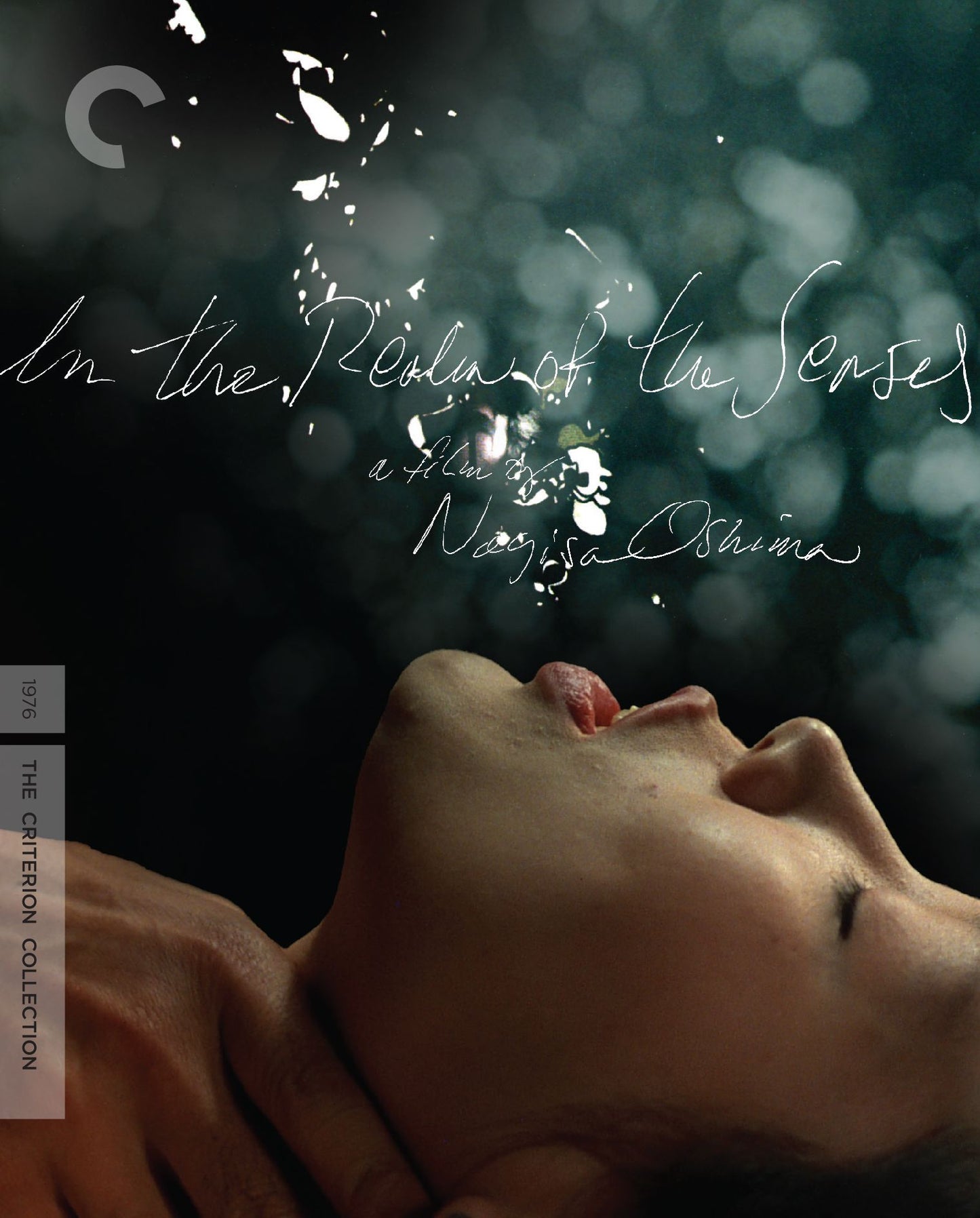 In the Realm of the Senses [Criterion Collection] [Blu-ray]