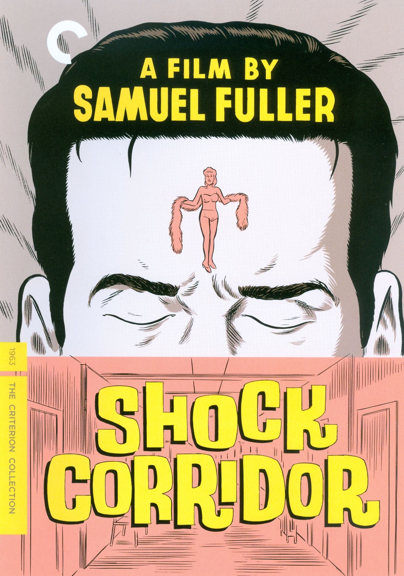 Shock Corridor [Criterion Collection]