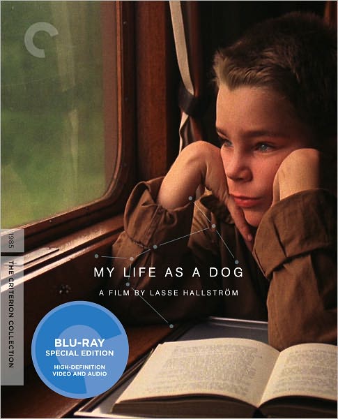 My Life as a Dog [Criterion Collection] [Blu-ray]