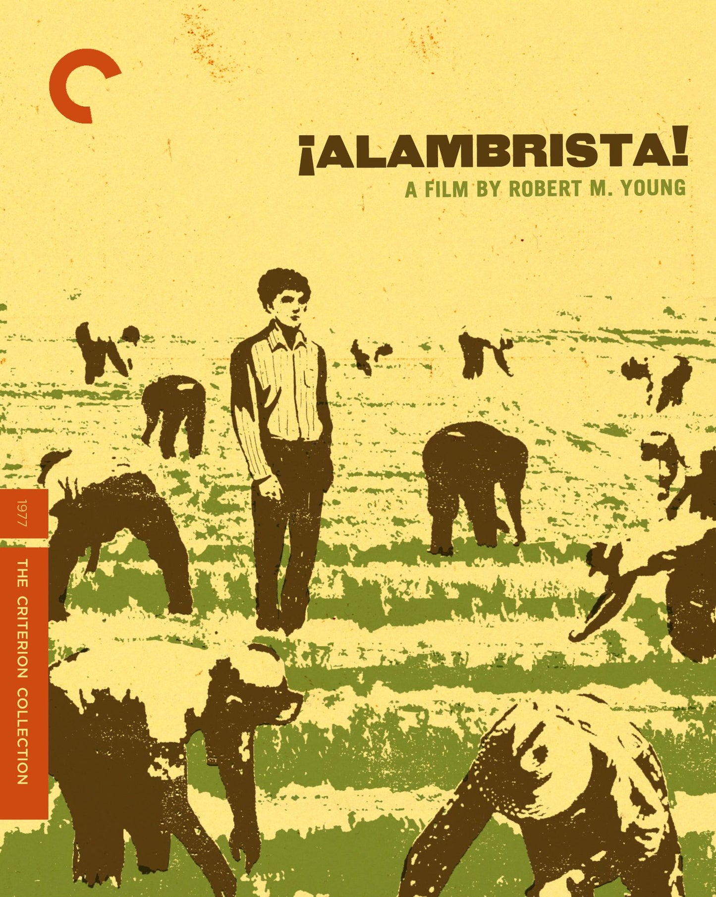 Alambrista! [Criterion Collection] [Blu-ray]