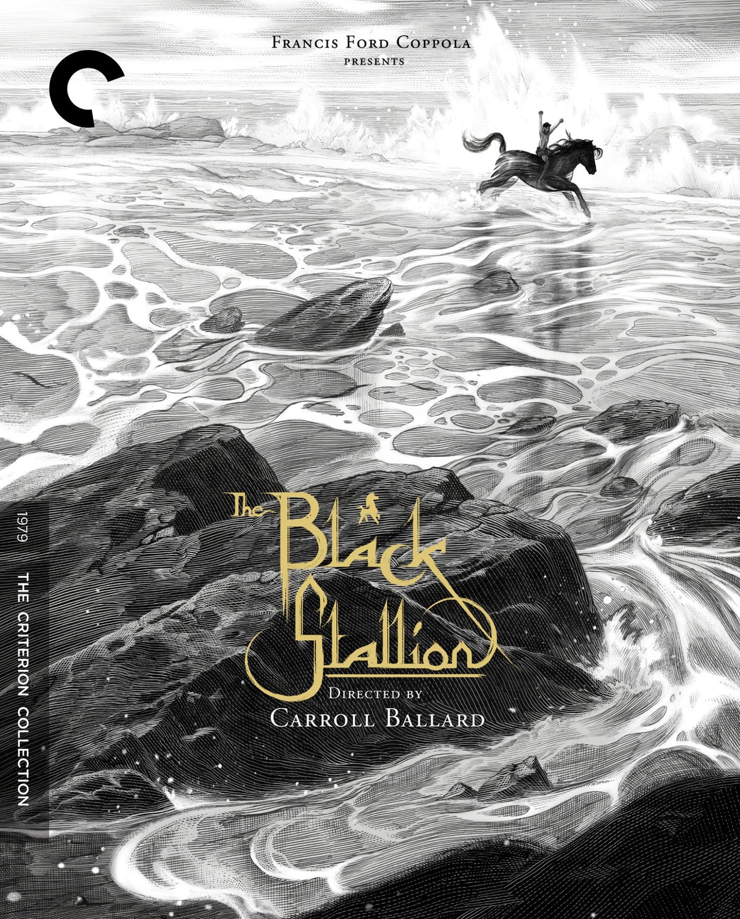 The Black Stallion
