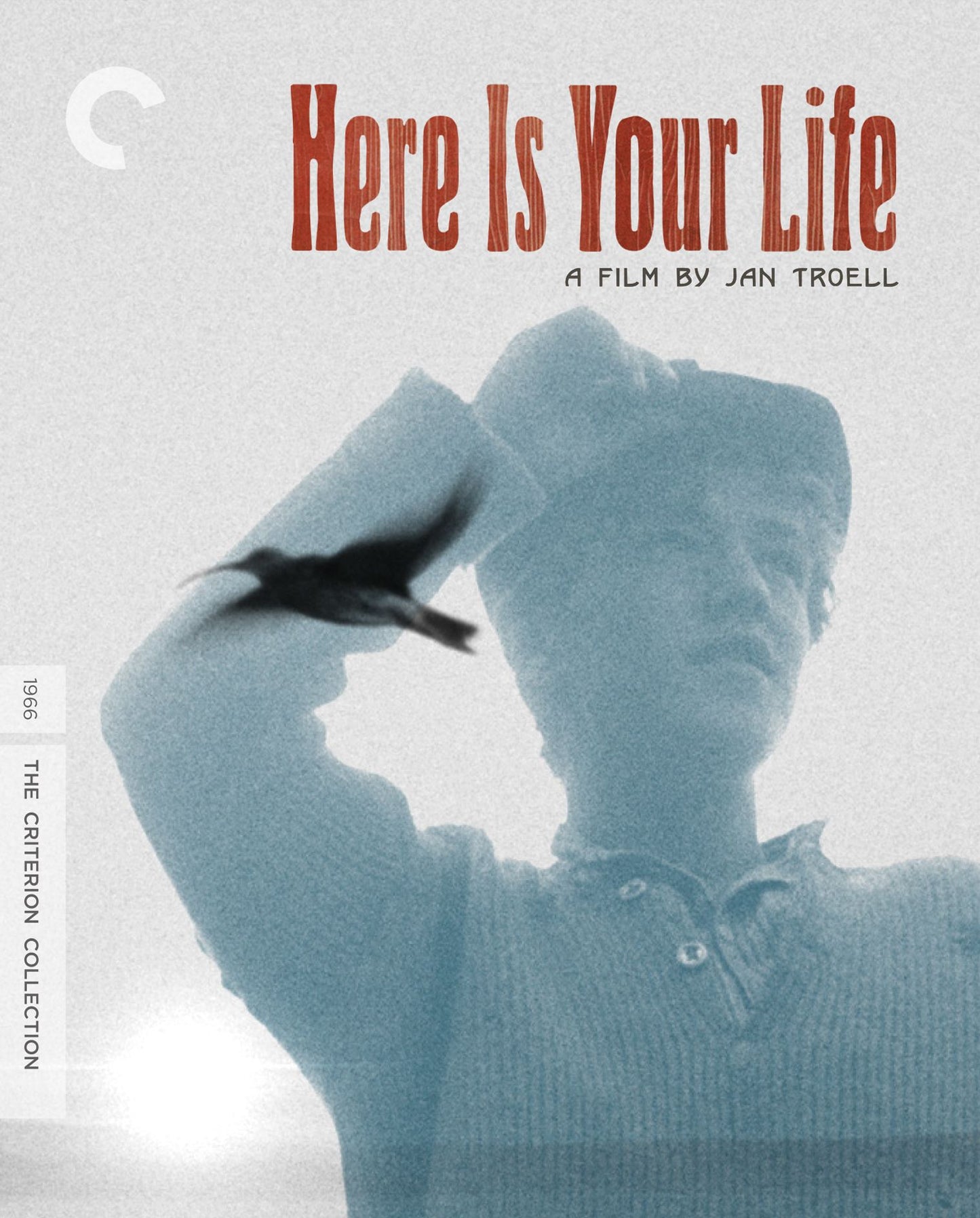 Here Is Your Life