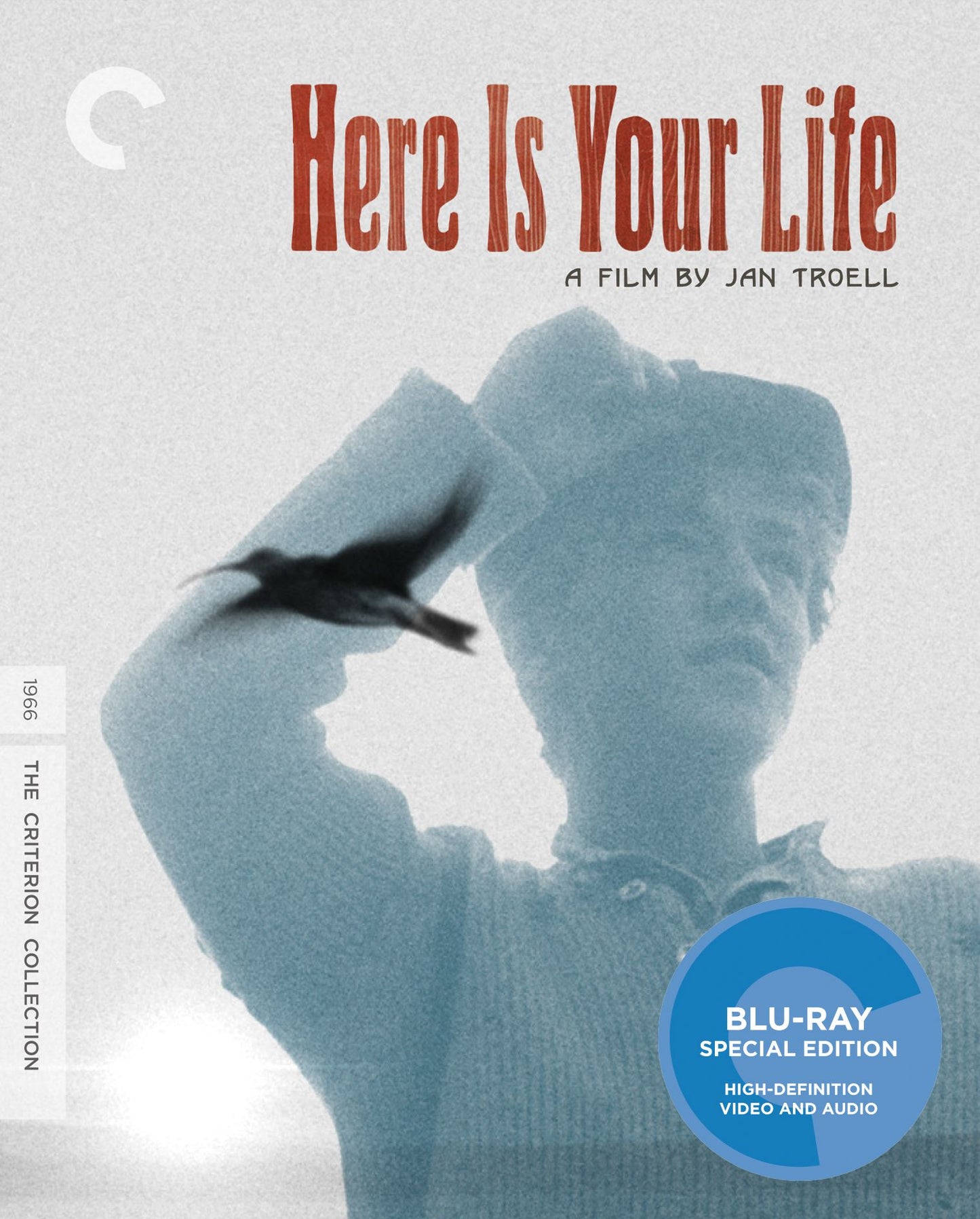 Here Is Your Life
