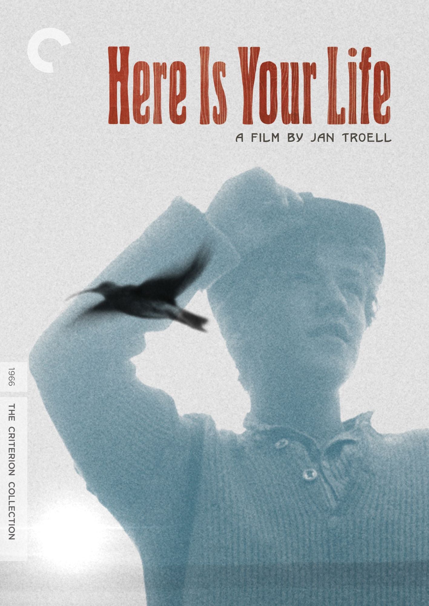 Here Is Your Life