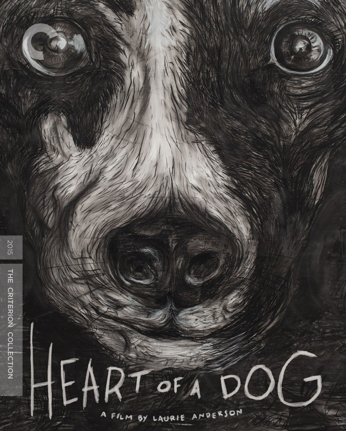 Heart of a Dog [Criterion Collection] [Blu-ray]