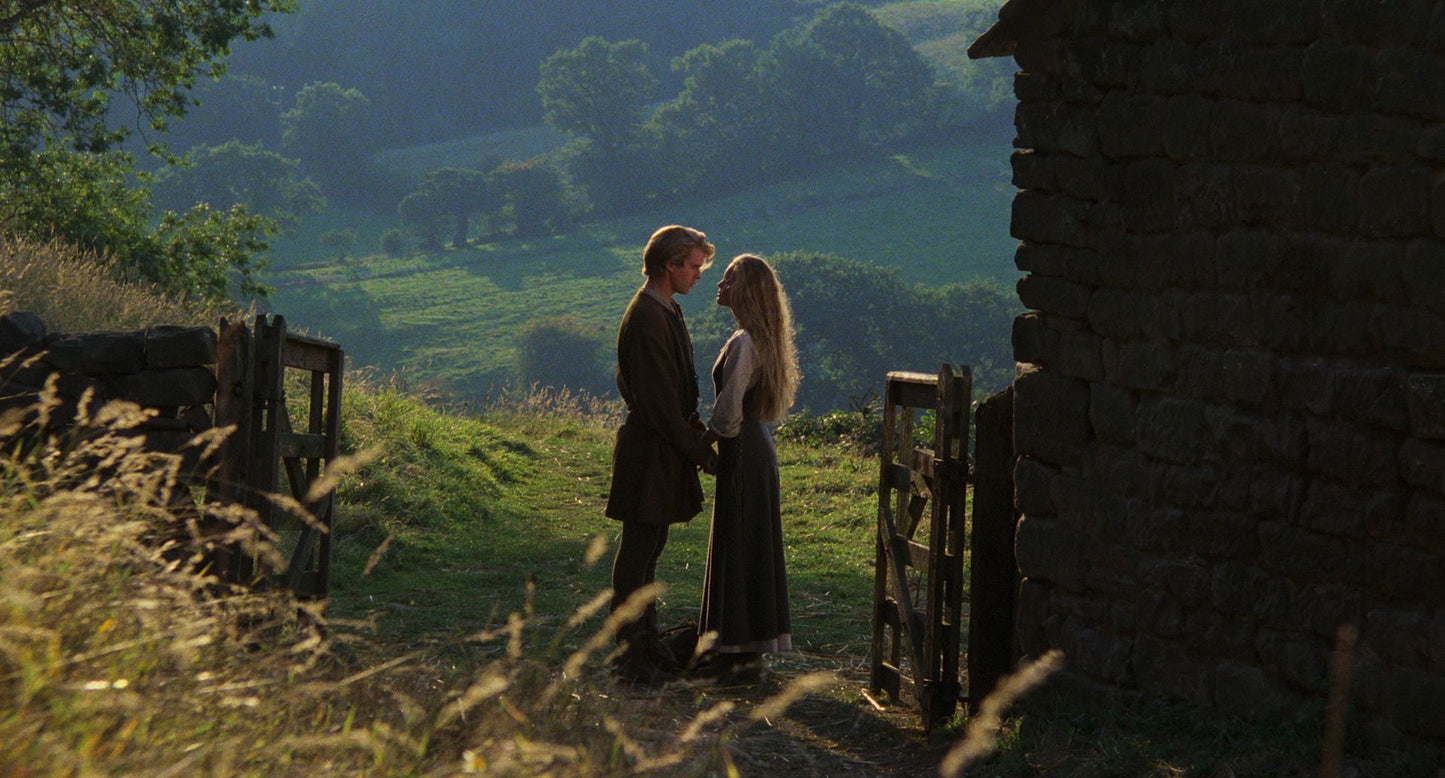 The Princess Bride [Criterion Collection] [Blu-ray]